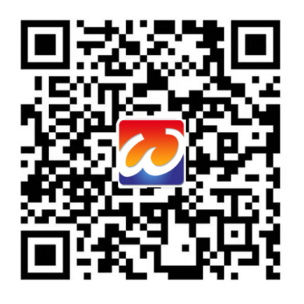 南京华尔威仪表有限公司